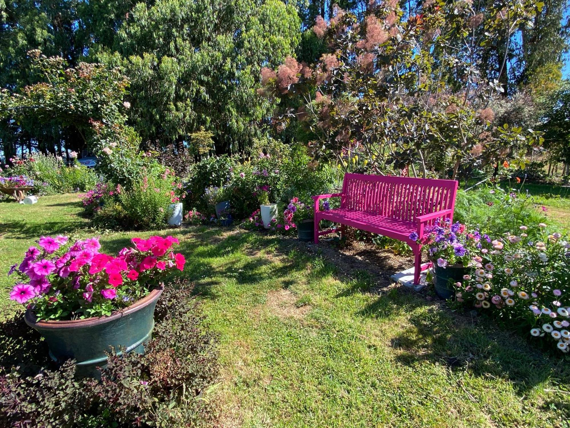 Korimako'S Nest Garden Studio Carterton 외부 사진